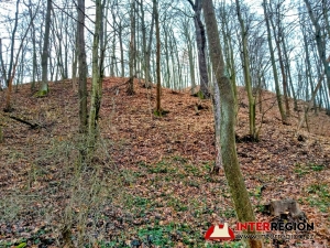 Hrad Pihel