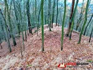 Hrad Pihel