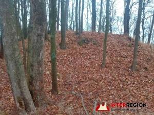 Hrad Pihel