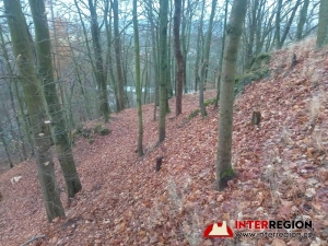 Hrad Pihel