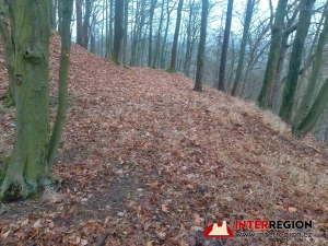 Hrad Pihel