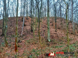 Hrad Pihel