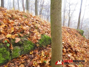 Hrad Pihel