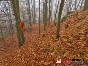 Hrad Pihel