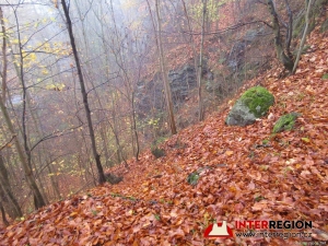 Hrad Pihel