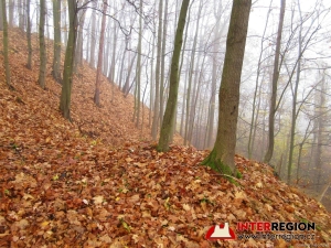 Hrad Pihel
