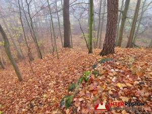 Hrad Pihel